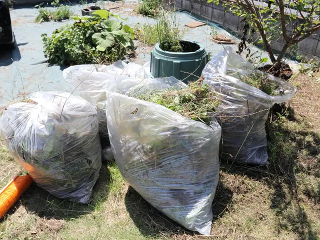 【顧客満足度に絶対の自信】しっかり除草！草むしり！！サービスの画像