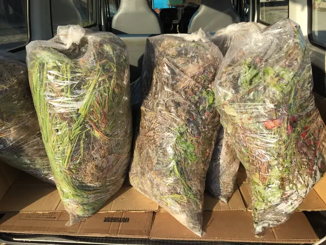 【顧客満足度に絶対の自信】しっかり除草！草むしり！！サービスの画像