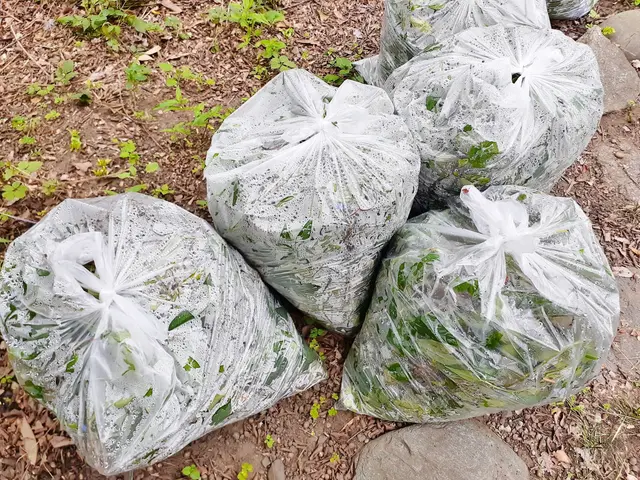 【顧客満足度に絶対の自信】しっかり除草！草むしり！！サービスの画像