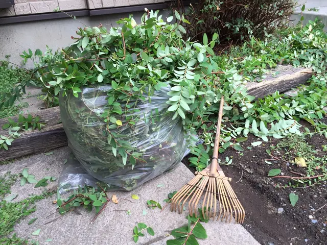 【顧客満足度に絶対の自信】しっかり除草！草むしり！！サービスの画像