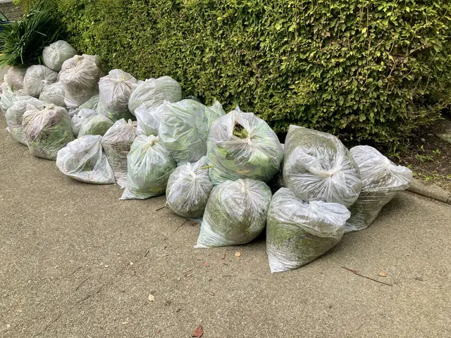 【顧客満足度に絶対の自信】しっかり除草！草むしり！！サービスの画像