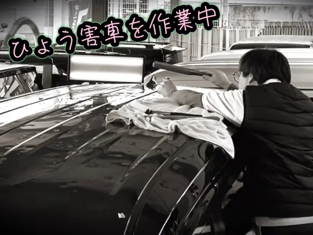 【納得いかなかった場合料金は発生しません】法人依頼を受けるプロが訪問◎雹害修理◎サービスの画像