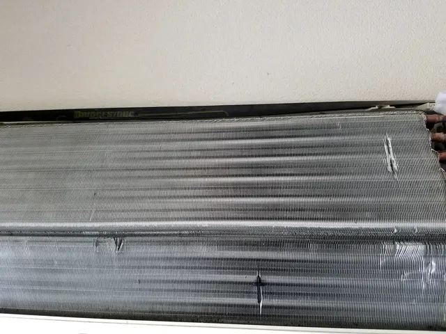 業界歴20年！気になる埃やカビ徹底洗浄❢只今、標準エアコンのみの対応になりますサービスの画像