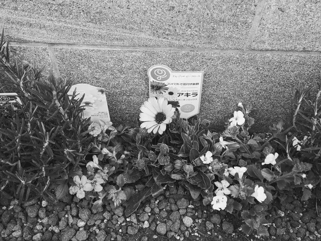 店長自ら、お客様の生活Styleに合わせて活け込みます！サービスの画像