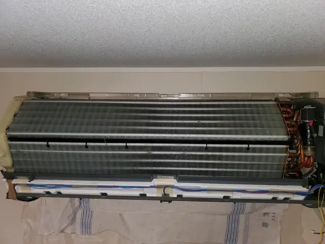 エコクリーニングサービスの画像