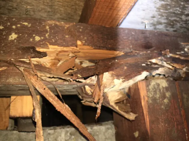 【業歴８年】◎年中無休◎迅速対応◎低価格高品質◎営業時間外でもご相談ください！サービスの画像