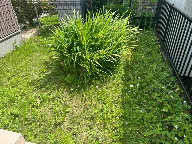 草刈り機でお庭を綺麗に！サービスの画像