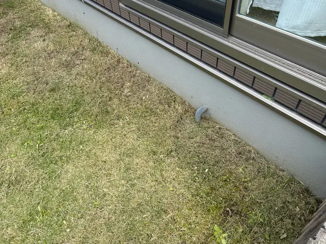 草刈り機でお庭を綺麗に！サービスの画像