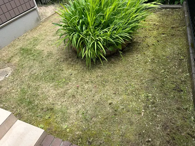 草刈り機でお庭を綺麗に！サービスの画像