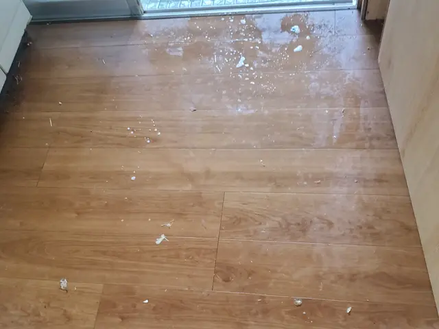 【店長が伺います！】不動産業界からも選ばれる在宅清掃サービスサービスの画像