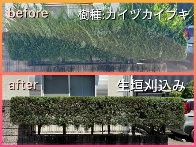【2024アワード入賞】機材は全て電動で静か♪御近所様への騒音の心配無し♪サービスの画像