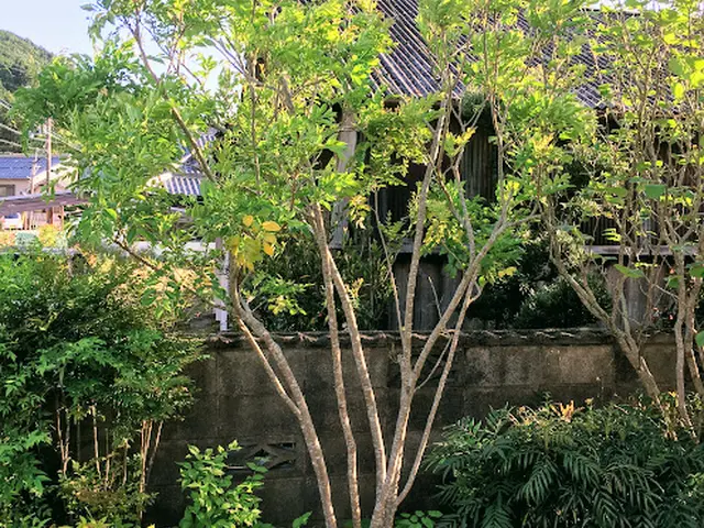 ＜損害保険加入済み♪P代店負担☆＞地域密着をモットーにお庭のお手伝いします！サービスの画像