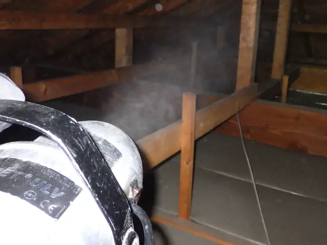 【現地調査・見積無料】ネズミ駆除はお任せください！25年の経験と実績で完全解決！サービスの画像