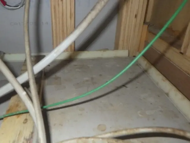 【現地調査・見積無料】ネズミ駆除はお任せください！25年の経験と実績で完全解決！サービスの画像