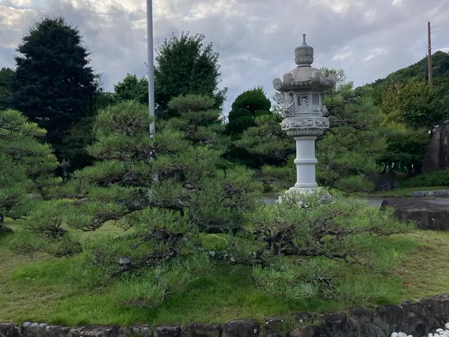 冬のお手入れ 承ります。空き家、空き地もお任せください。1〜2月 予約受付中サービスの画像