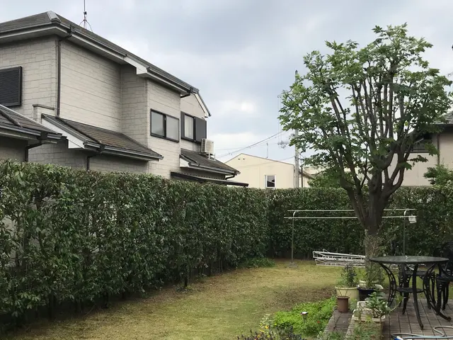 冬のお手入れ 承ります。空き家、空き地もお任せください。1〜2月 予約受付中サービスの画像