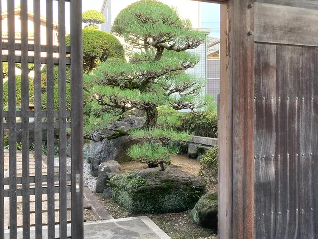 冬のお手入れ 承ります。空き家、空き地もお任せください。1〜2月 予約受付中サービスの画像