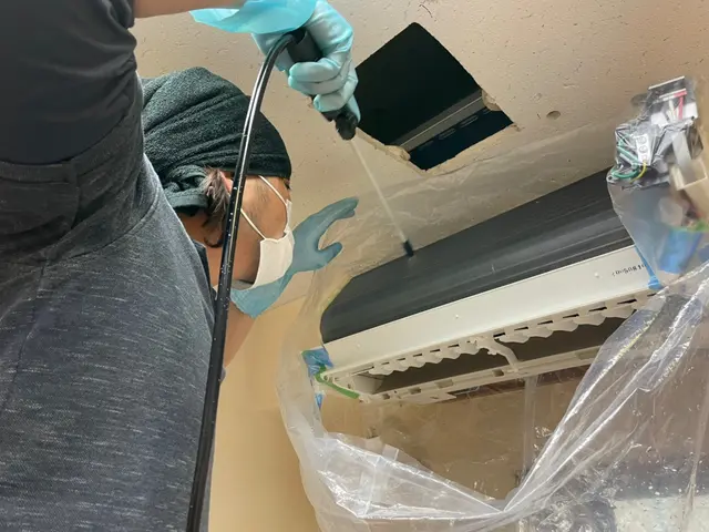 【全スタッフ大手出身：低価格で大手の品質を！】エコ洗剤でお子様、ペットも安心。サービスの画像