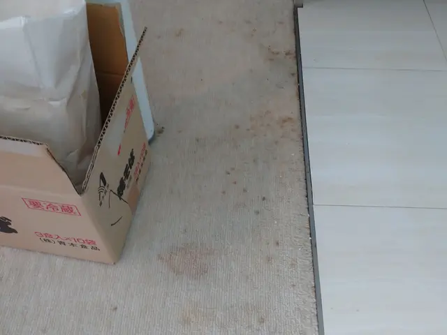 ★創業6年　◆地元密着！　◆丁寧なクリーニング　◆ご要望に沿って努力しますサービスの画像