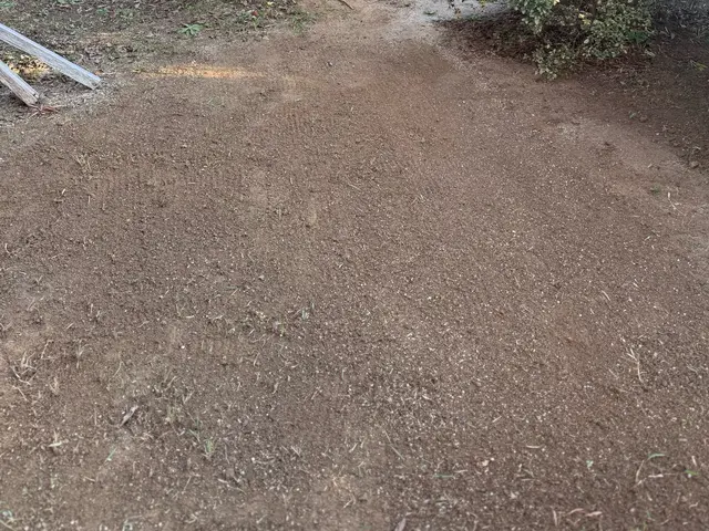 【6年の実績】お庭まるごとトータルコーディネート！営業時間外も相談OKサービスの画像