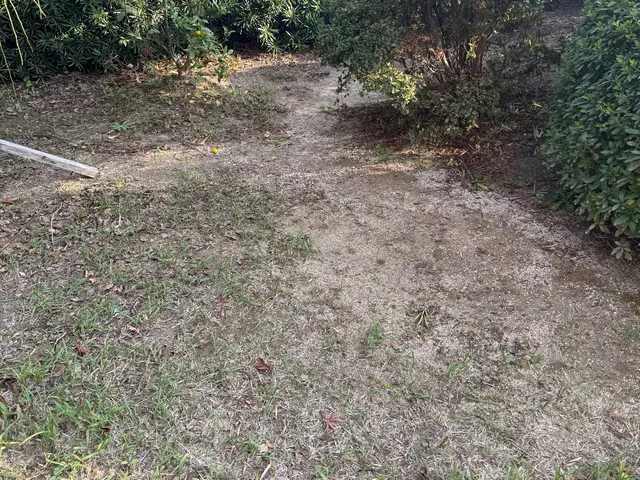 【6年の実績】お庭まるごとトータルコーディネート！営業時間外も相談OKサービスの画像