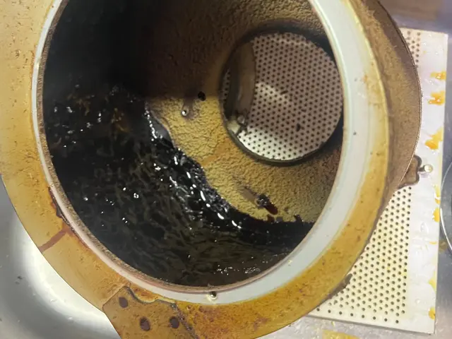 キッチンのクリーニングサービスの画像