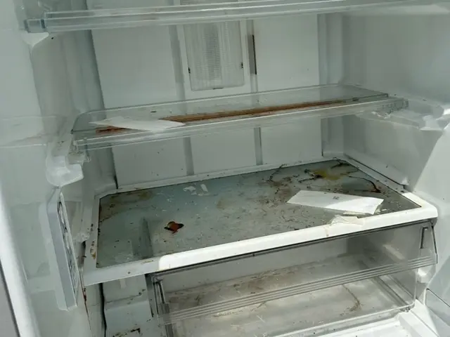 ☆その食材大丈夫ですか？？匂いが酷くて、汚れを落としたい…我々にお任せ下さい！！サービスの画像