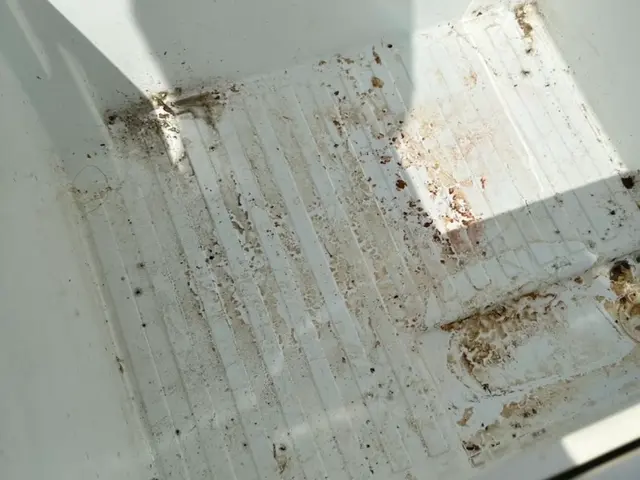 ☆その食材大丈夫ですか？？匂いが酷くて、汚れを落としたい…我々にお任せ下さい！！サービスの画像