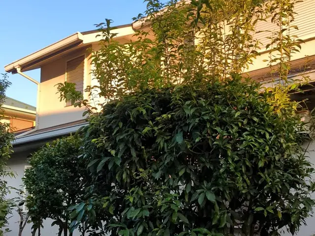 予約対応～作業完了まで、当社スタッフがすべてご対応！安心の損害保険加入済み◎サービスの画像