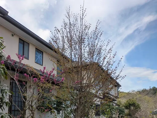 予約対応～作業完了まで、当社スタッフがすべてご対応！安心の損害保険加入済み◎サービスの画像