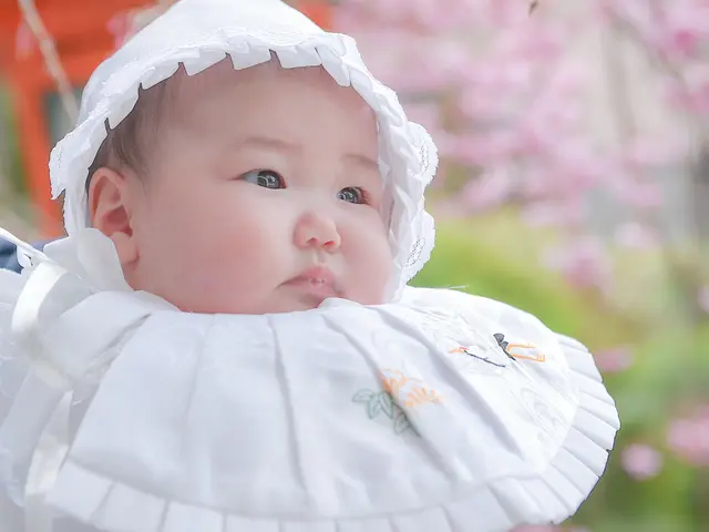 ◆JBP協会認定 ブロンズ会員｜150枚以上｜中山寺登録済　湊川生田西宮神社