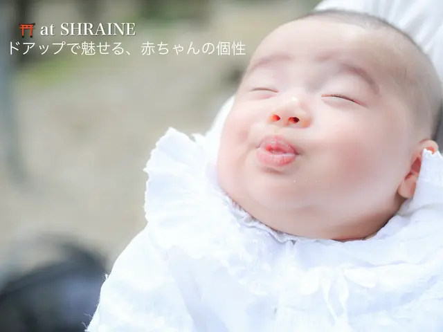 JBP協会認定｜中山寺お宮参り専門｜静かに寄り添う自然撮影｜参拝優先