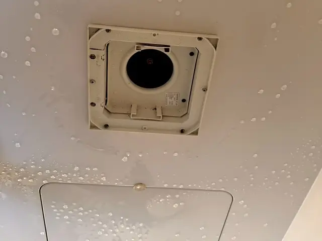 お風呂のお掃除！大変です(>_<)サービスの画像