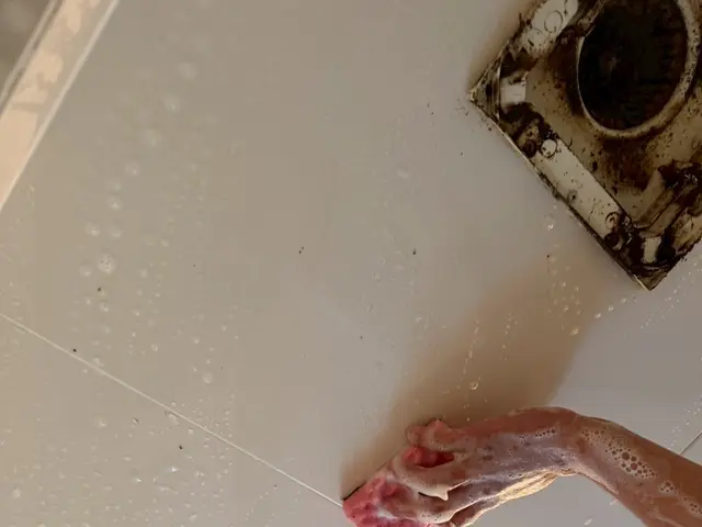 お風呂のお掃除！大変です(>_<)サービスの画像