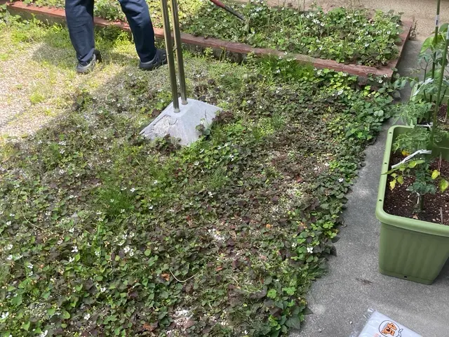 自社スタッフが細部まで丁寧に仕上げる！営業時間外・地域外対応も相談可能サービスの画像