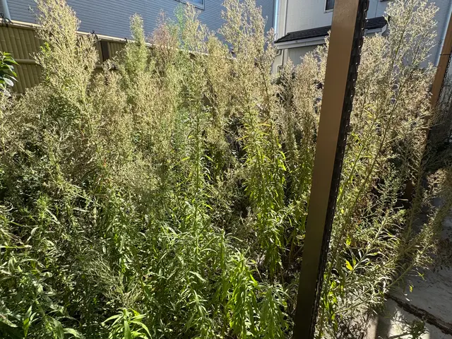 自社スタッフが細部まで丁寧に仕上げる！営業時間外・地域外対応も相談可能サービスの画像