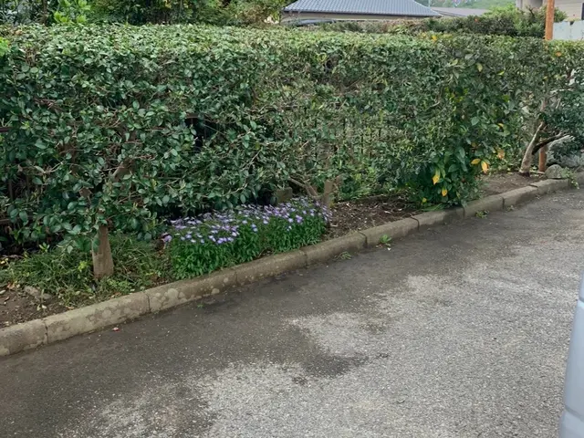 《土日祝のご予約歓迎！》◎庭園管理士がお伺いいたします。サービスの画像