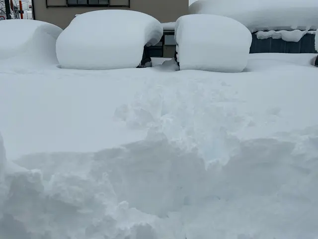 個人宅や個人契約の駐車場等の雪かき代行サービスの画像