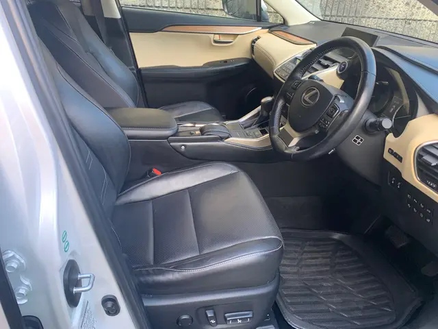 発電機、水持ち込みで電気ない場所でも可能、洗車、外車も可【車内クリーニング革】サービスの画像