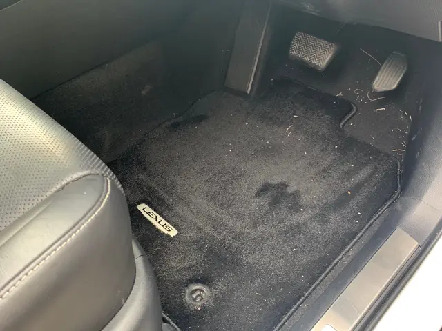 発電機、水持ち込みで電気ない場所でも可能、洗車、外車も可【車内クリーニング革】サービスの画像