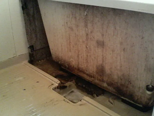 浴室クリーニング 気になる汚れもスッキリ！経験20年、非喫煙者の店長が伺います！サービスの画像