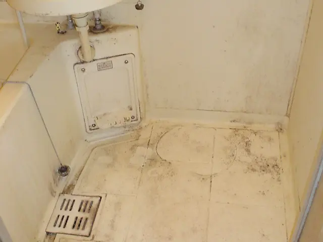 浴室クリーニング 気になる汚れもスッキリ！経験20年、非喫煙者の店長が伺います！サービスの画像