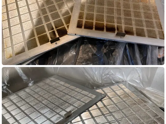 SDGsのハウスクリーニング！エコ洗剤を無理施工！小さなお子様、ペットに安心♪サービスの画像