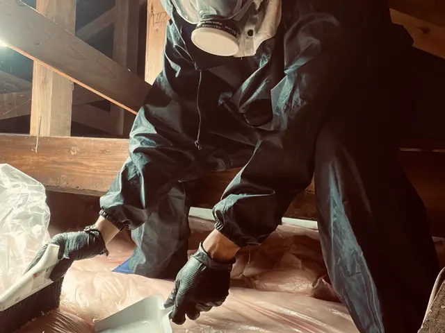 狩猟免許、防除作業監督者の有資格者の駆除専門家が対応します。ノミダニ対策も完備サービスの画像