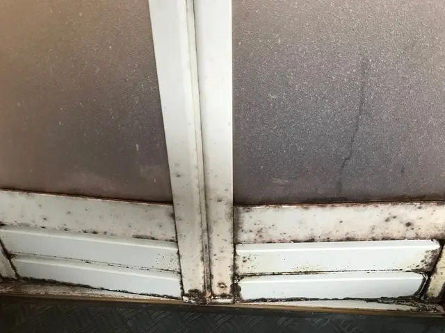 小さなお子様、ペットにもエコ洗剤使用して安心安全です。1都5県対応致していますサービスの画像