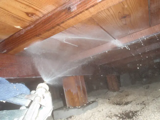 実績1000件超！5年間保証付きで安心の駆除サービスサービスの画像