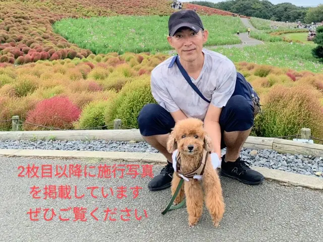 【地域密着　完全自社施工】2級管工事施工管理技士補が伺います！損害保険加入済み！サービスの画像