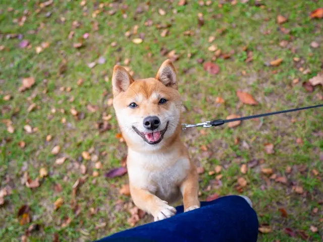 作業外注一切なし◎予約対応〜撮影・納品まで、当社スタッフがすべてご対応！サービスの画像