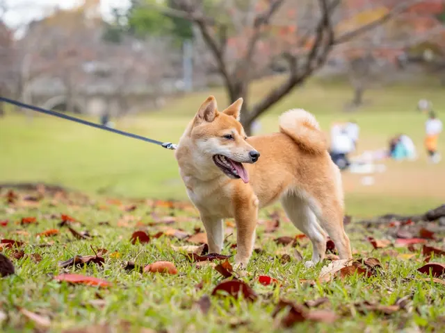 作業外注一切なし◎予約対応〜撮影・納品まで、当社スタッフがすべてご対応！サービスの画像