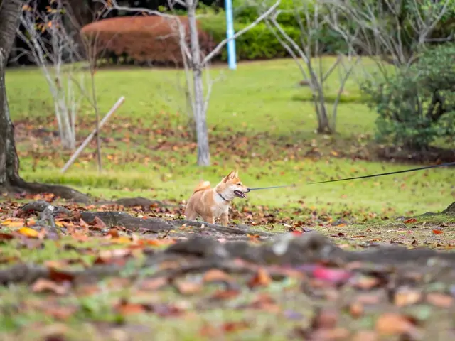 作業外注一切なし◎予約対応〜撮影・納品まで、当社スタッフがすべてご対応！サービスの画像